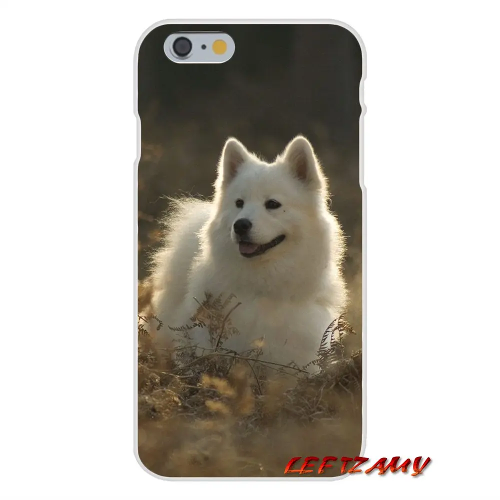 Прекрасный Samoyed собака для iPhone X XR XS MAX 4 4S 5 5S 5C SE 6 6S 7 8 Plus ipod touch Аксессуары чехлы