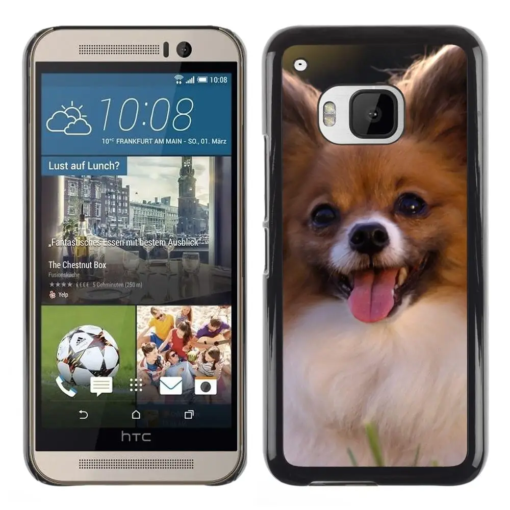 Snap On Hard PC Back Shell Case For HTC One M9-Chihuahua Small Dog Pet Canine Sun(M9-3005049) |