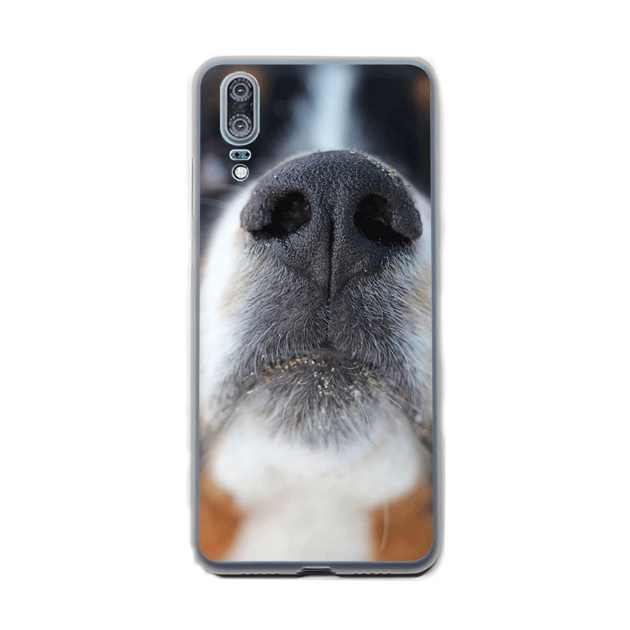 Чехол для Samsung Galaxy A10 A30 A40 A50 A70 M10 M20 M30 Note 8 9|Чехлы-накладки| |