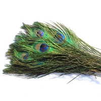 tigofly 6 pcslot natural color peacock feathers tail herls quills for nymphs wet streamers flies diy fly fishing tying material