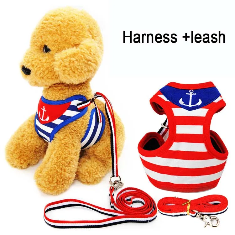Полосы мелких животных кошка собака щенок проводов жилет и поводок милые