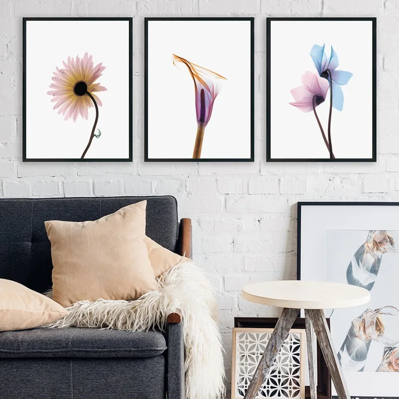 Transparent Flower Modern Scandinavian Nordic Posters and Prints Wall Art Canvas Painting Pictures For Living Room Decor | Дом и сад