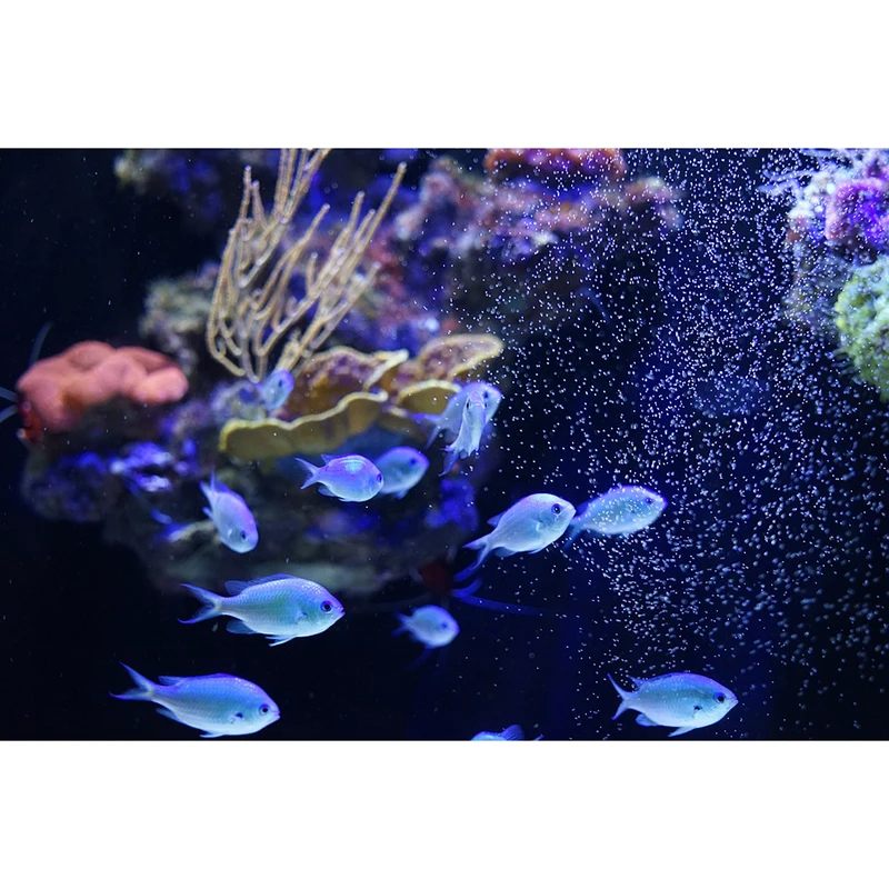 

Needlework Diy Diamond Painting Cross Stitch "Underwater" Painting Diamond Embroidery Square Diamond Mosaic Pictures Stickers