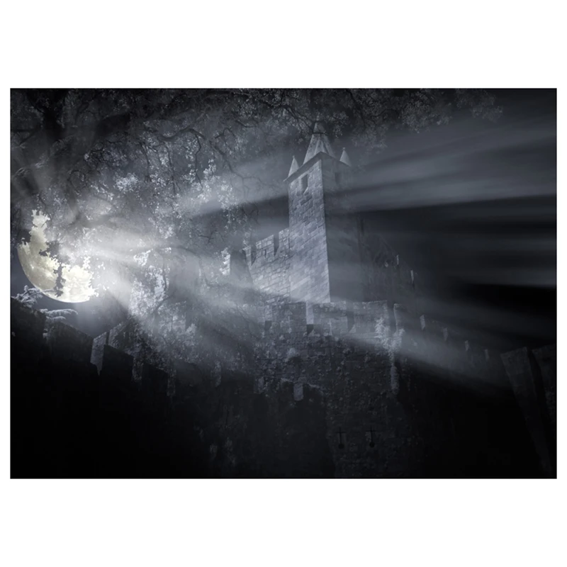 Винил фотографии Задний план мрачные ужас лунный замок дерево луна для Хэллоуина