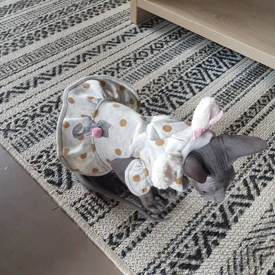 Одежда для собак Love зимняя теплая куртка пальто платье кошек пачка с бантом