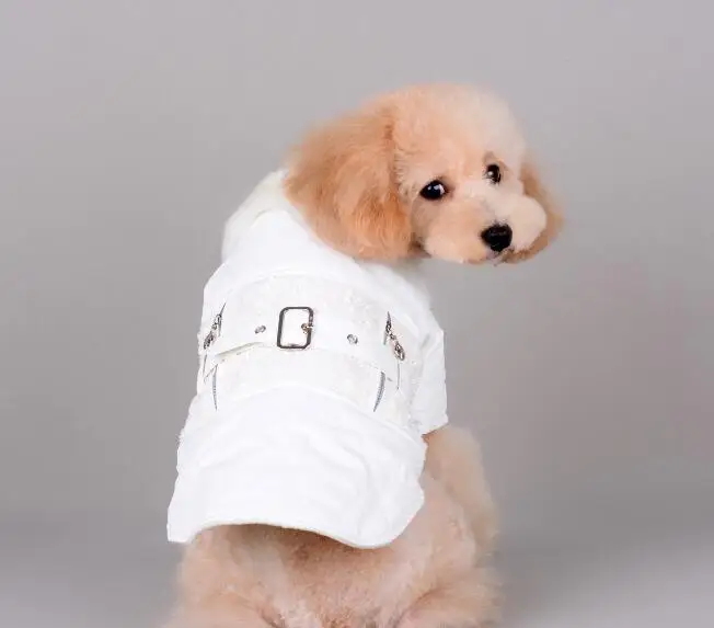 

Pet clothes winter Dog clothes hooded padded warm clothes
