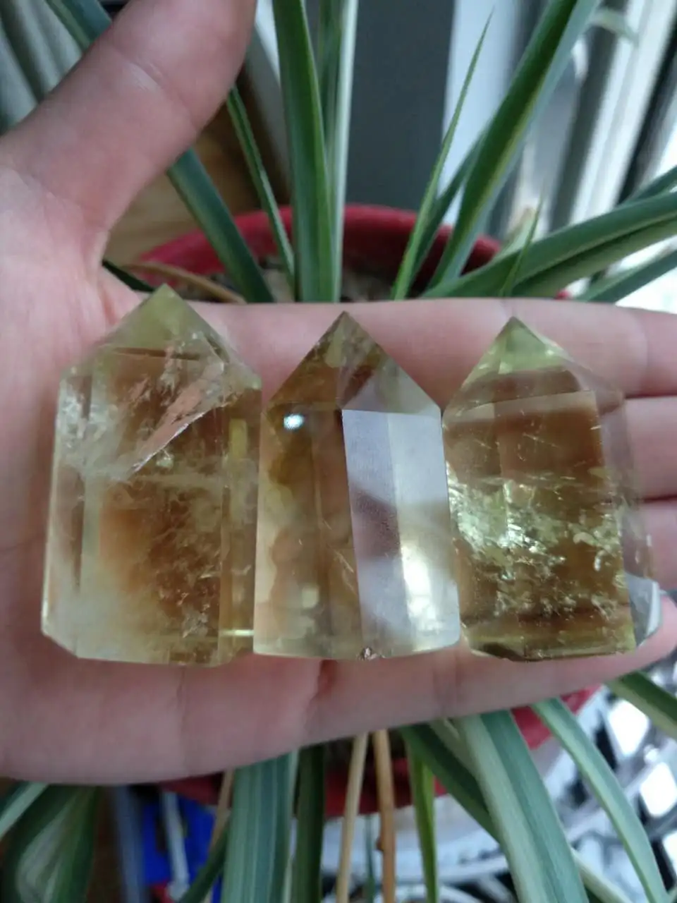 Фото 150g 3pcs Natural Citrine Quartz Crystal Wand Point Healing as gift Дом и сад 150g 3pcs Natural Citrine Quartz Crystal Wand Point Healing as gift Дом и сад