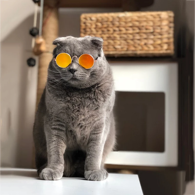 Hoomall 1 шт. милые очки для кошек товары животных маленьких собак кошачий глаз