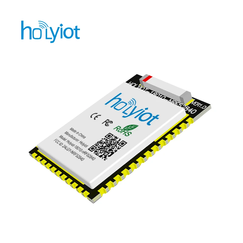 Модуль FCC CE holyiot 18010 Nordic nRF52840 плата разработки с низким энергопотреблением для BLE