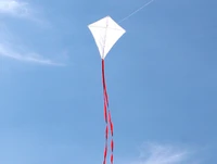 free shipping kids blank diy kite 10pcslot kids teaching painting kite handle line outdoor toys flying albatross kite factory