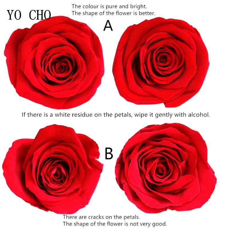 

YO CHO High Quality Preserved Flowers Flower Immortal Rose 4-5CM Diameter Mothers Day Gift Eternal Life Flower Material Gift Box
