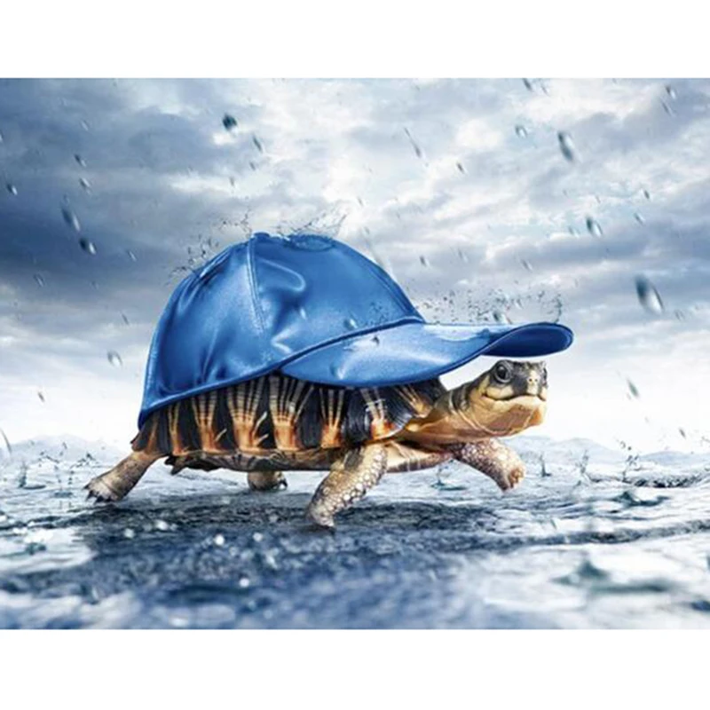 5D алмазная картина для поделок шляпа черепахи вышивка Алмазная мозаика из смолы