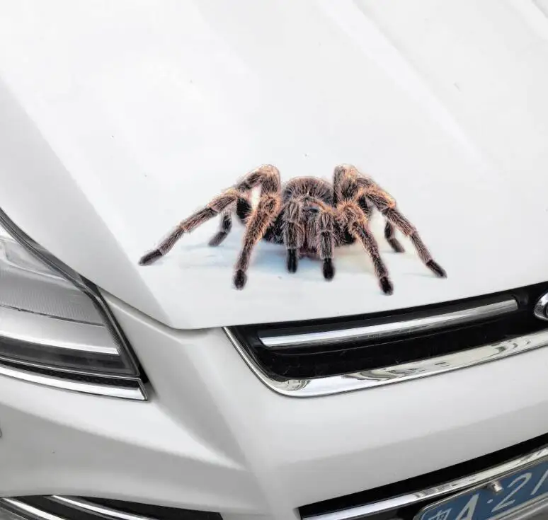 3D Автомобильная наклейка Имитация животных бампер s для паука геккона Скорпиона