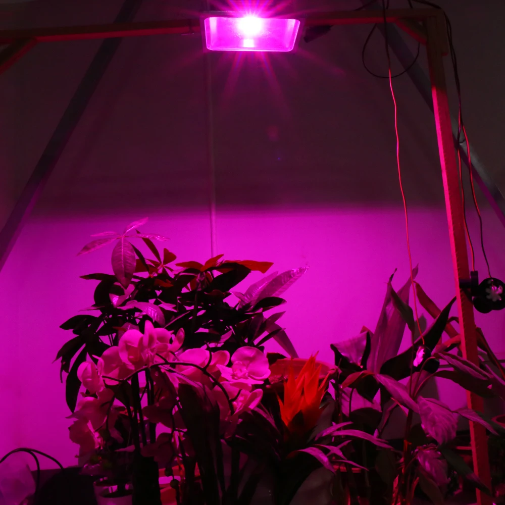 

10W/20W/30W/50W 85-265V Best Grow Light Hydroponic Plant Flood LED Grow Lights led floodlight Super Bright