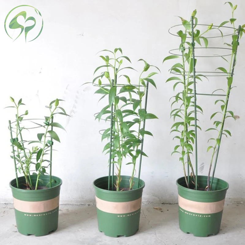 Стойка для скалолазания декоративные садовые инструменты цветочных растений