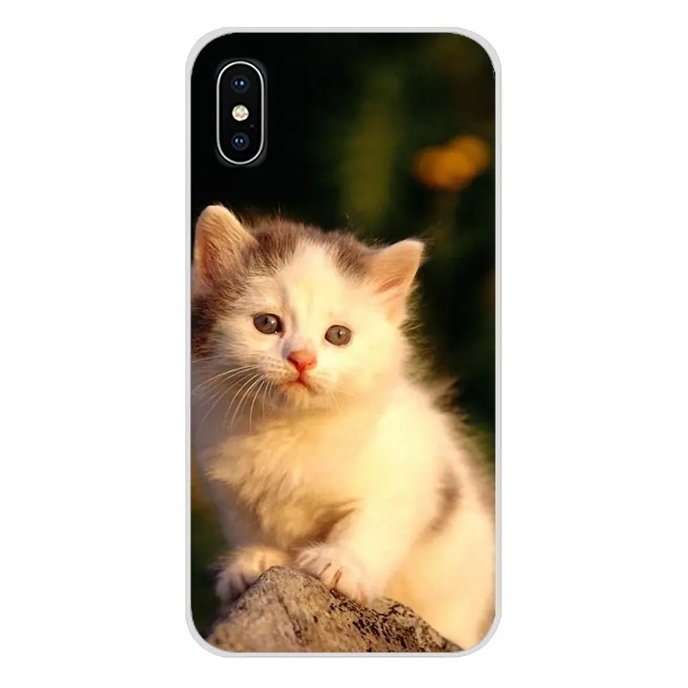 Для HTC One U11 U12 X9 M7 M8 A9 M9 M10 E9 Plus Desire 630 530 626 628 816 820 830 meow милый кот прозрачный чехол из