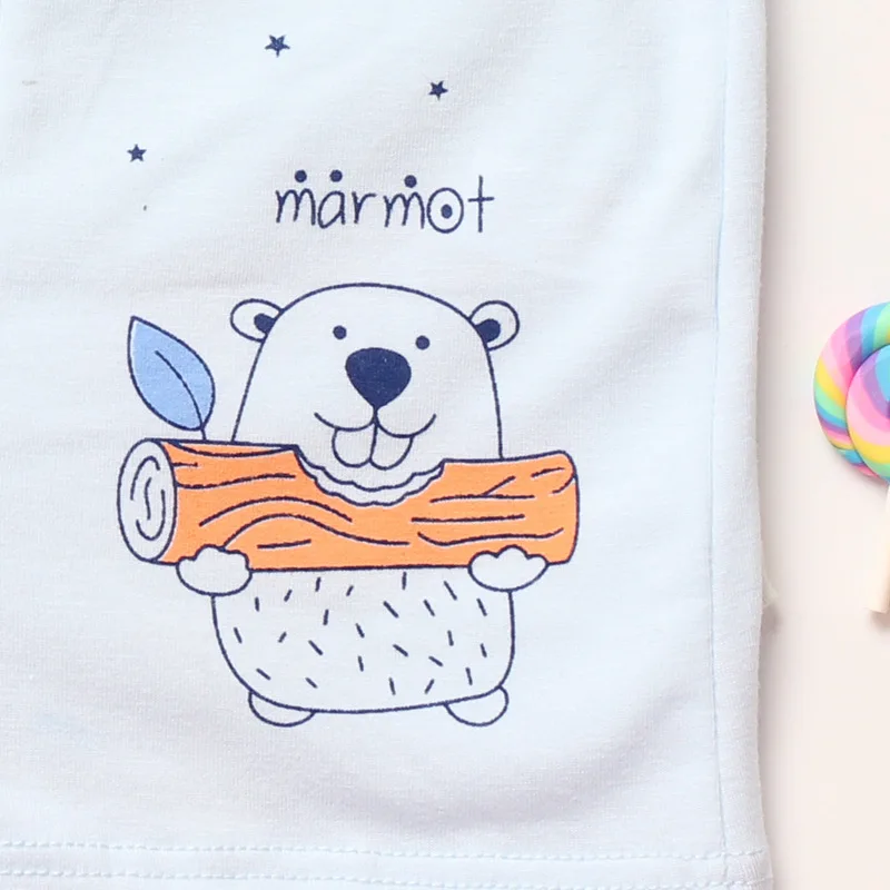 

5pcs/lot organic cotton comfortable boys underwear baby knickers kid pants baby panties child undies kids classic briefs s orts