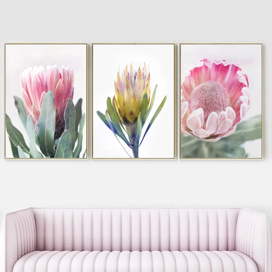 

Wall Art Canvas Painting Big Pink Flower Protea Cynaroides Nordic Posters And Prints Decoration Wall Pictures For Living Room
