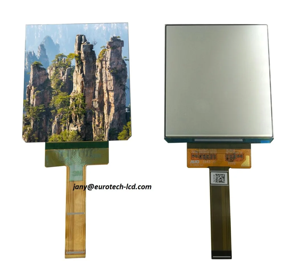 

AMOLED 3,81 "дюймовый ЖК-экран дисплей Панель 1080*1200 H381DLN01.2
