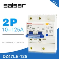 d type dz47le 100 electric leakage circuit breaker switch household protect 2p small sized atmosphere switch