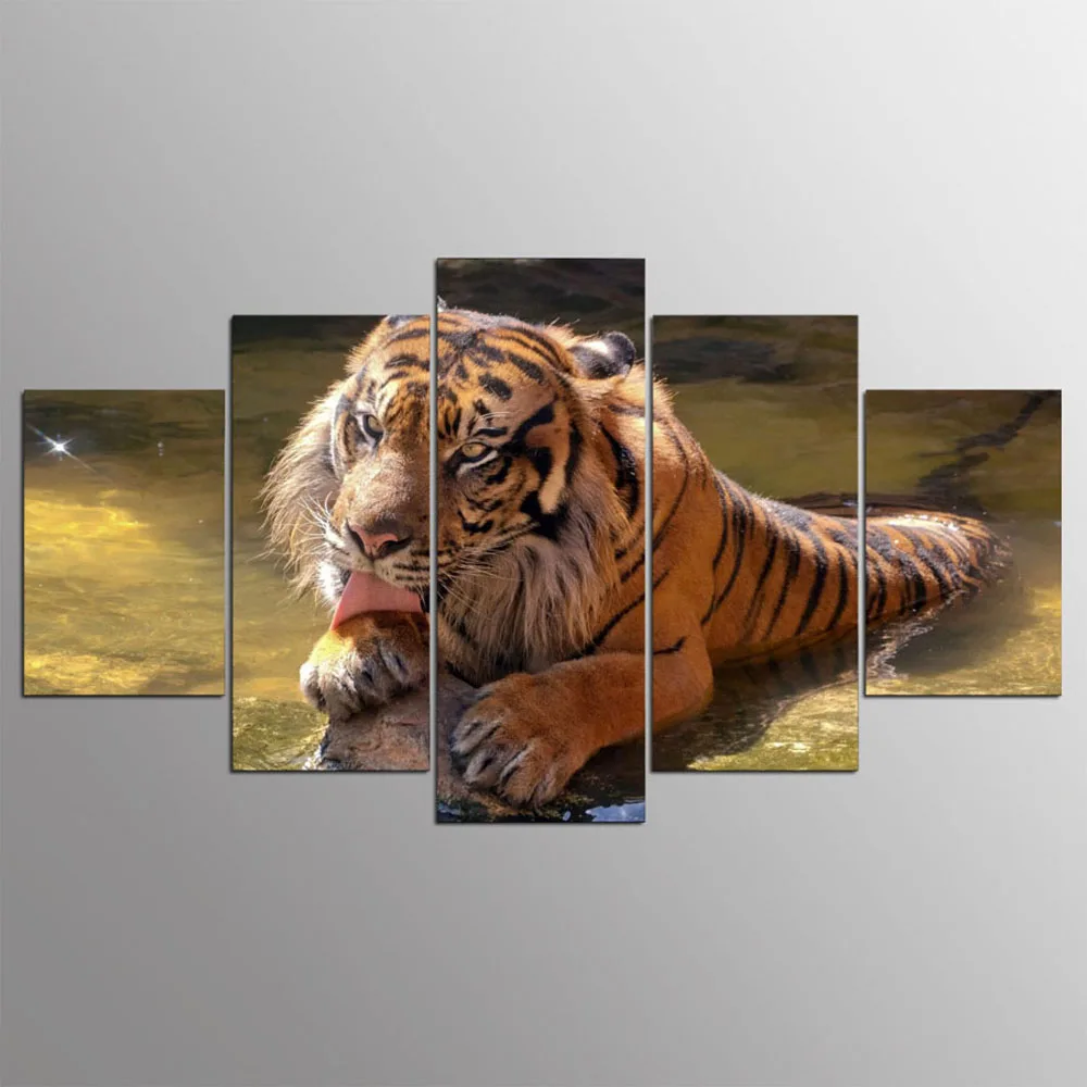 HD печать 5 шт. sumatran Тигр настенные картины для гостиной современные плакаты и