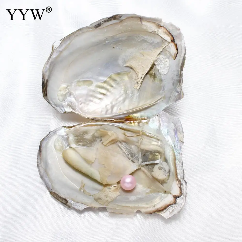 

20PCs/Bag Freshwater Cultured Love Wish Pearl Oyster Freshwater Pearl Potato mixed colors 7-8mm Sold By Bag