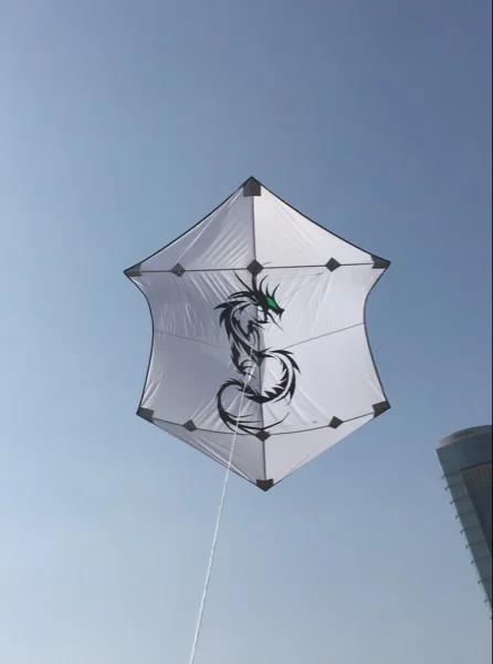 Windsocks Радужный воздушный змей Рипстоп нейлоновая ткань Вау карбазол подушки