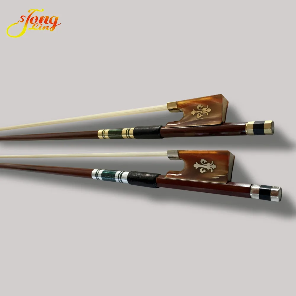 Ed Shell Horn Carved Flower Gold Braided Violino Bow White Horse Hair