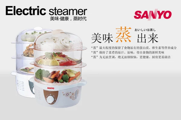 steamer pot electric
