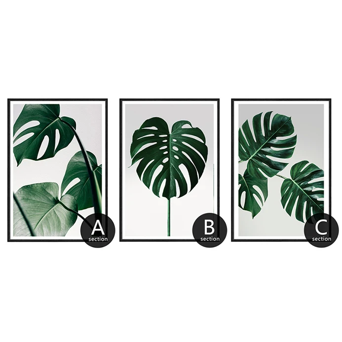 Monstera картина скандинавский плакат холст настенный художественный принт Современный домашний декор зеленые растения Картина 3 предмета для гостиной - Цвет: ABC