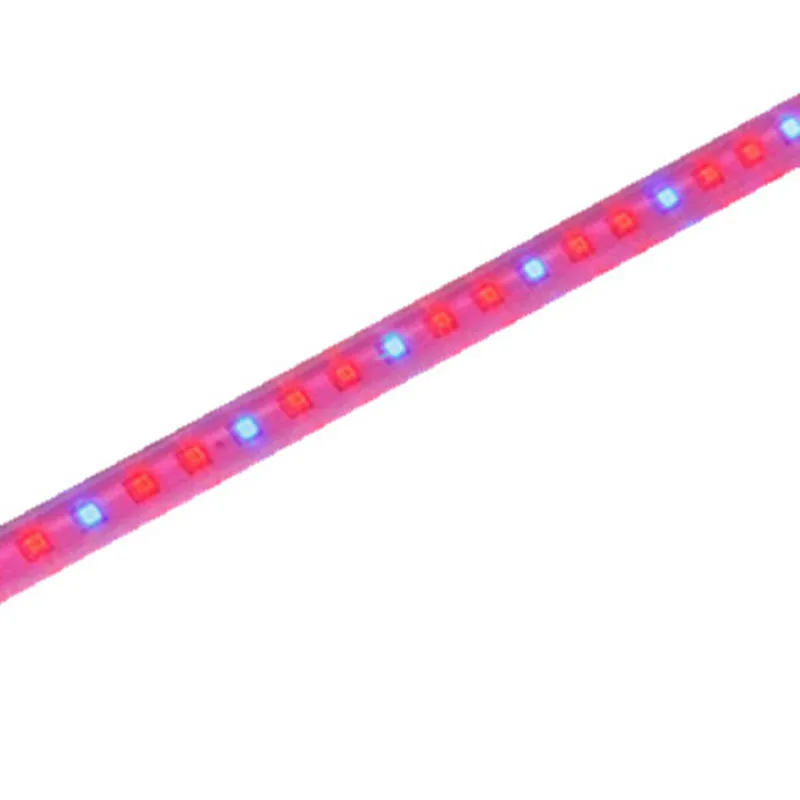 10 шт. T5 Led для завода светать светильник рассада сочные цветущие растения