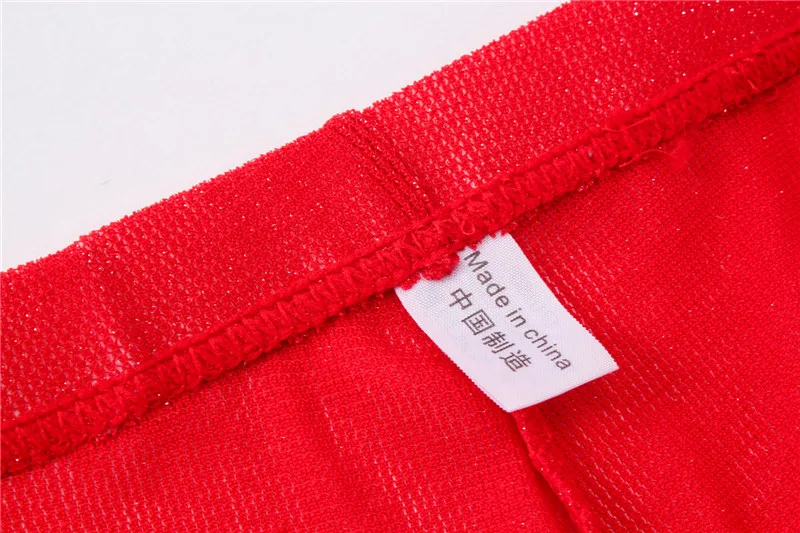 6PCS/Lot Sexy Briefs Men Underwear Transparent Net Mesh Bikini Brief Underwear Bulge Underpants Waist Briefs Sexy Lingerie Gift