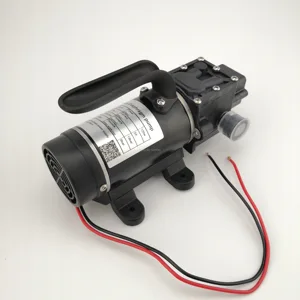 Электрический самовсасывающий водяной насос высокого давления, 12 В, 24 В, 120 Вт, 10 лмин