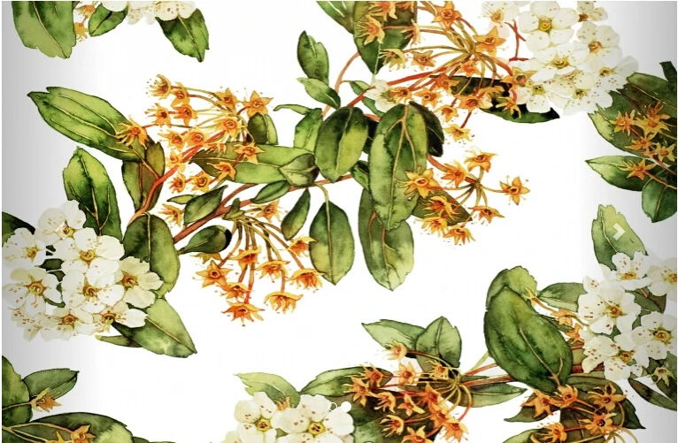 Настенная виниловая фотообои на заказ с изображением цветов и белых для гостиной