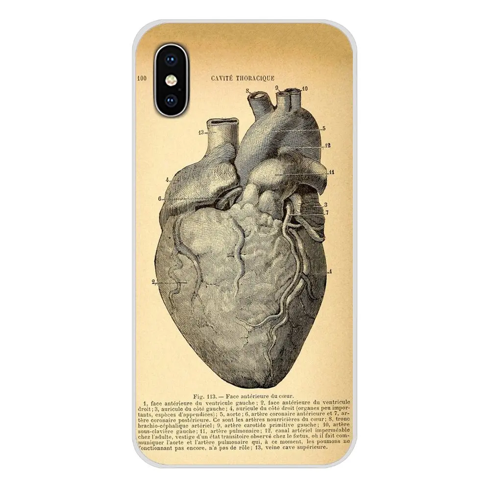 images 8 Винтажная медицинская анатомическая схема сердца для huawei P Smart mate Honor 7A 7C 8C 8X9 P10 P20 Lite Pro Plus TPU прозрачные чехлы - Цвет: images 8