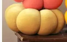Apricot Круглая подушка с изображением тыквы, подушка с наполнителем, подушка на талию, автомобильный диван, постельные принадлежности, для дома, Dec,, FG1027 - Цвет: Apricot