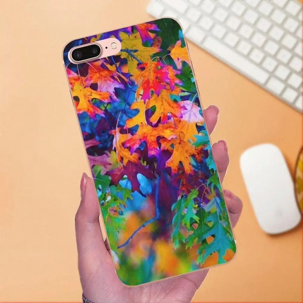 Картина Love In Autumn для Huawei P7 Honor 4C 5A 5C 5X 6 6C 6A 6X 7 7X 8 9 V8 V10 Y3II Y5II Y6II G8 Play Lite | Мобильные
