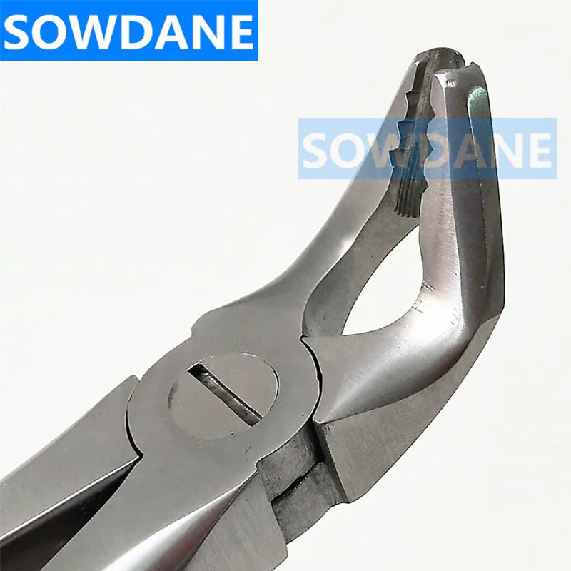 Высокое качество нержавеющая сталь стоматологический взрослых удаление зуба