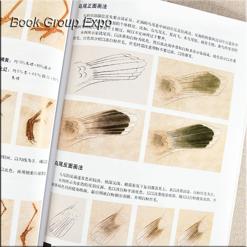 Книга китайской живописи животных Птица книга изготовитель gongbi написано ли