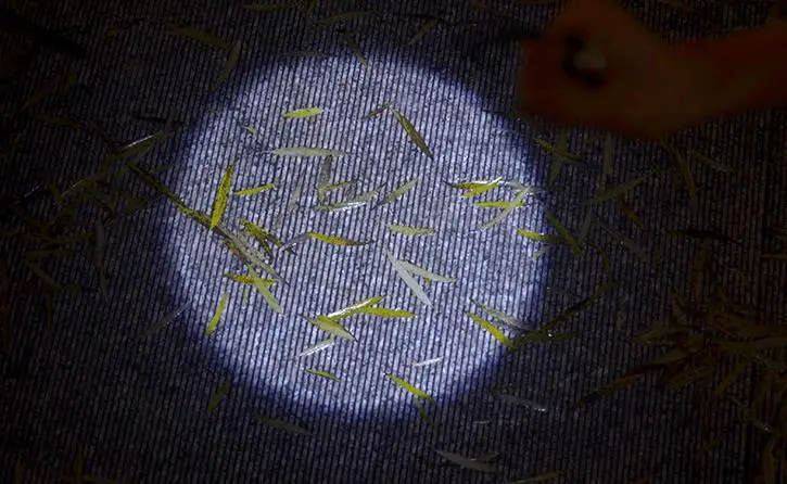 Светодиодный Многофункциональный мини фонарик для дайвинга|small flashlight|flashlight