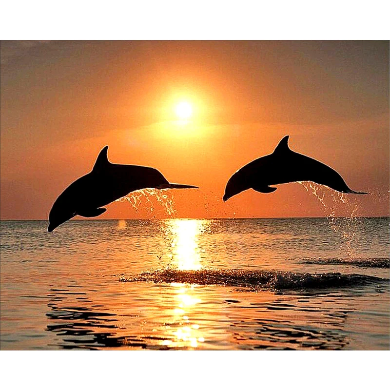 10 pattern 5D Diamond Painting Embroidery Cross Stitch Aquatic Animal Dolphin Fish image Mosaic Hobby crafts Needlework decor | Дом и сад