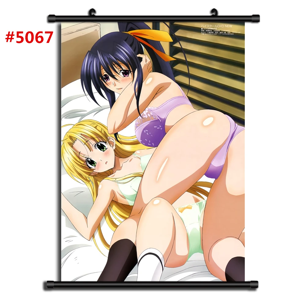 5067 Highschool DxD Аниме Манга настенный плакат свиток C - Цвет: 5067
