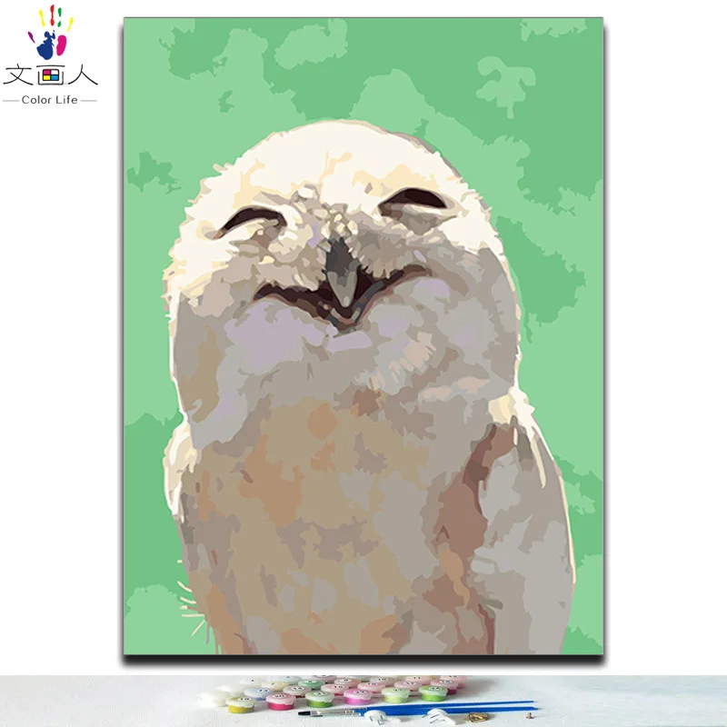 0030 Smiling eagle Diy окрашивание краски картины по номерам кошка собака руббит свинья тигр лев волк Пингвин Панда и попугай животные картины по номерам - Цвет: 0030 Smiling eagle