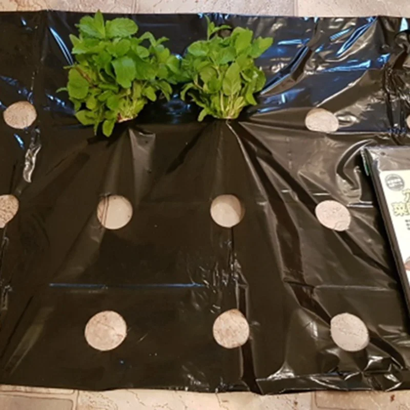 

Защитная плёнка для растений, 5-50 м, 0,02 мм, 5 отверстий