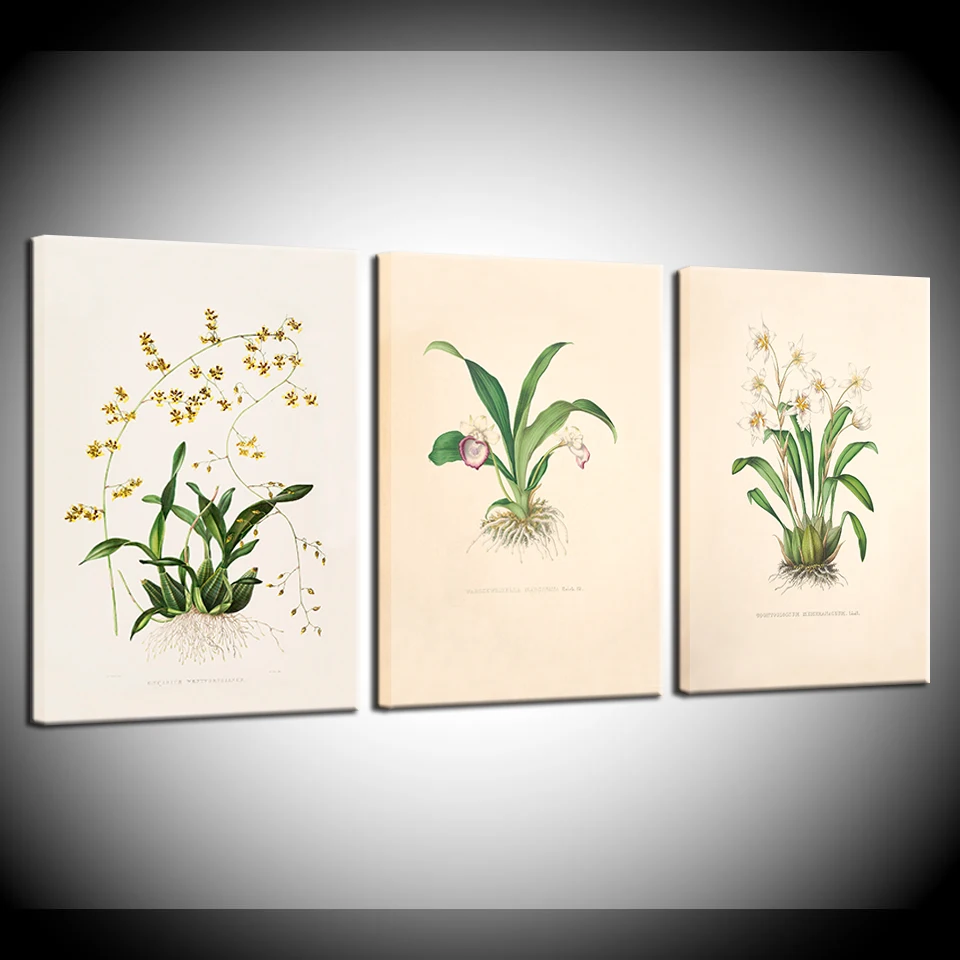 Винтажные ботанические иллюстрации с зелеными растениями цветочные