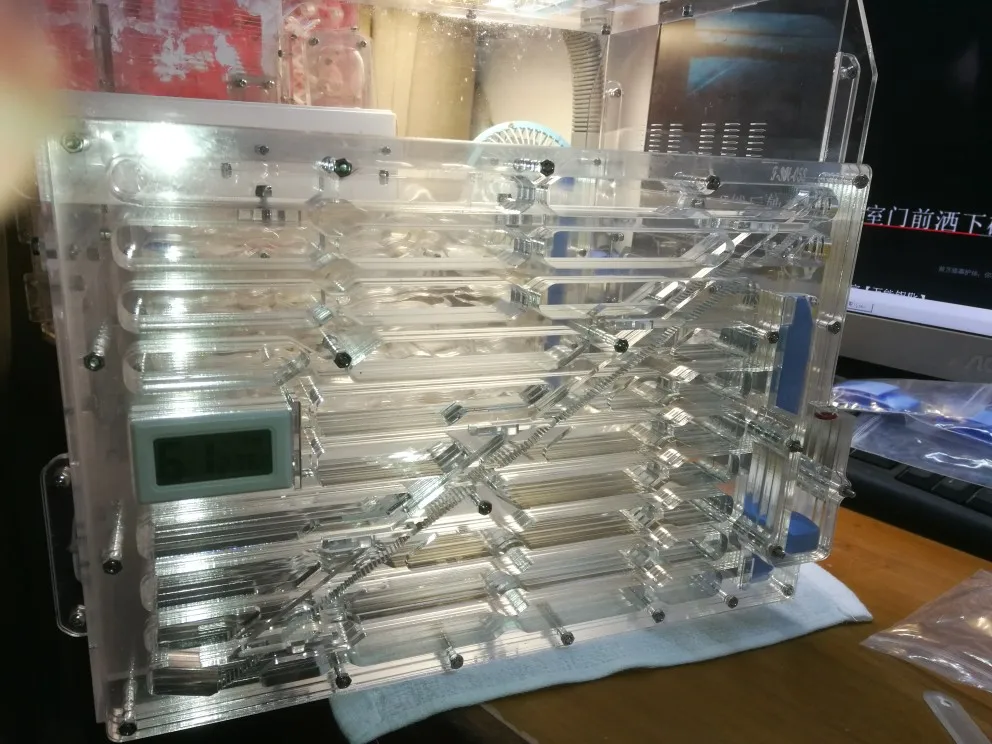 2sides nest clear Taitan 2 стороны муравьи гнездо 2 слоя муравья корпус для детей студентов научное устройство игрушка насекомое муравей вилла акриловые муравьи - Цвет: 2sides nest clear