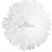10pcs 820cm wedding party holiday decoration white tissue paper pom poms flower ball3 days delivery on orders over 100
