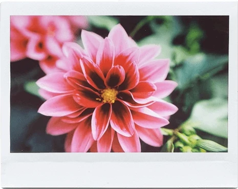 MiNT InstantKon RF70_AUTO RF70 Rangefind фотокамера моментальной печати Instax Wide