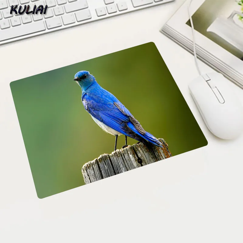 Резиновый коврик для мыши XGZ с говорящей птицей прямоугольные резиновые коврики