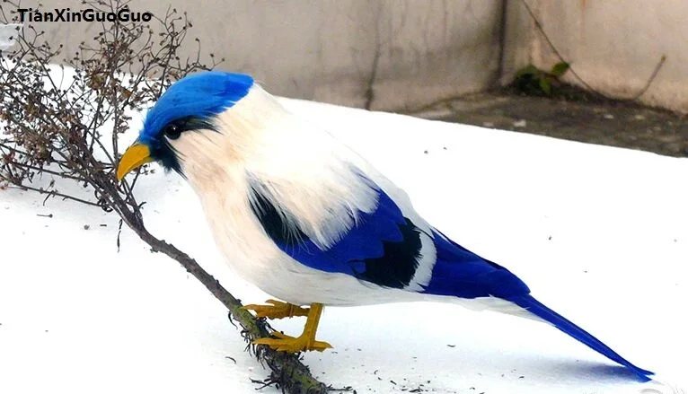 Искусственная птица твердая модель реквизит полиэтилен и перья красочная около